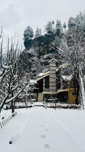 Into The Wild Manali